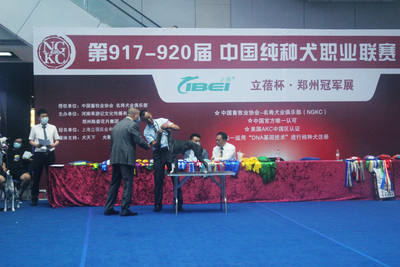 助力交易复苏--陈砦花卉水族宠物馆举办中国纯种犬职业联赛